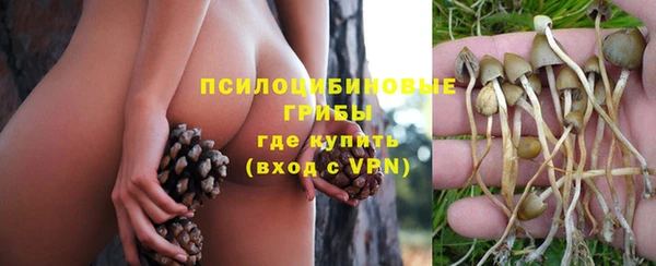 круглые Богданович