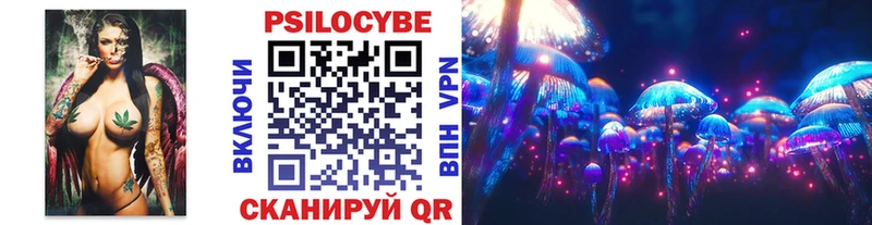 Галлюциногенные грибы мицелий  Болохово 